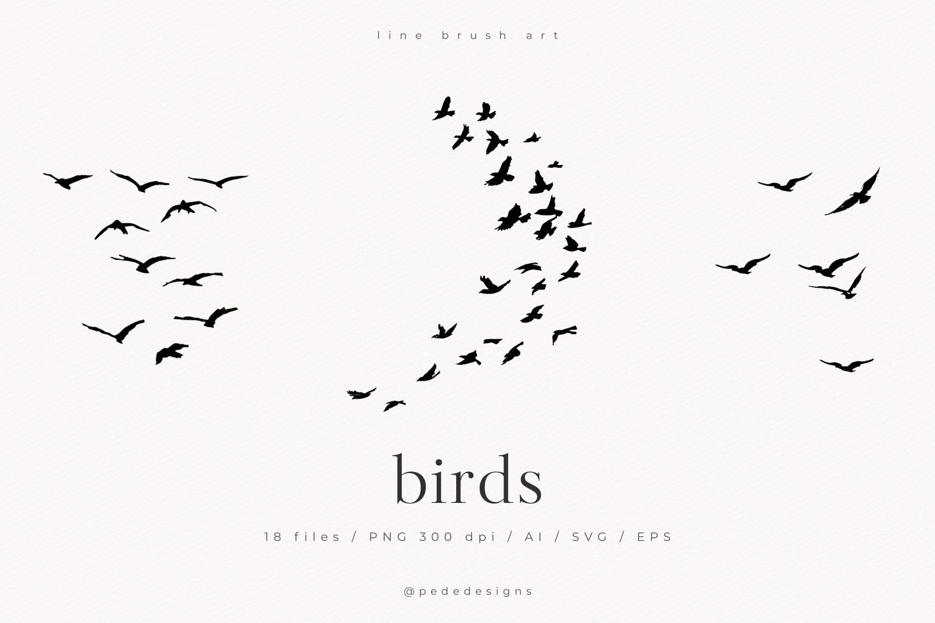 Flying bird drawing - Etsy België, image size:1820x1214