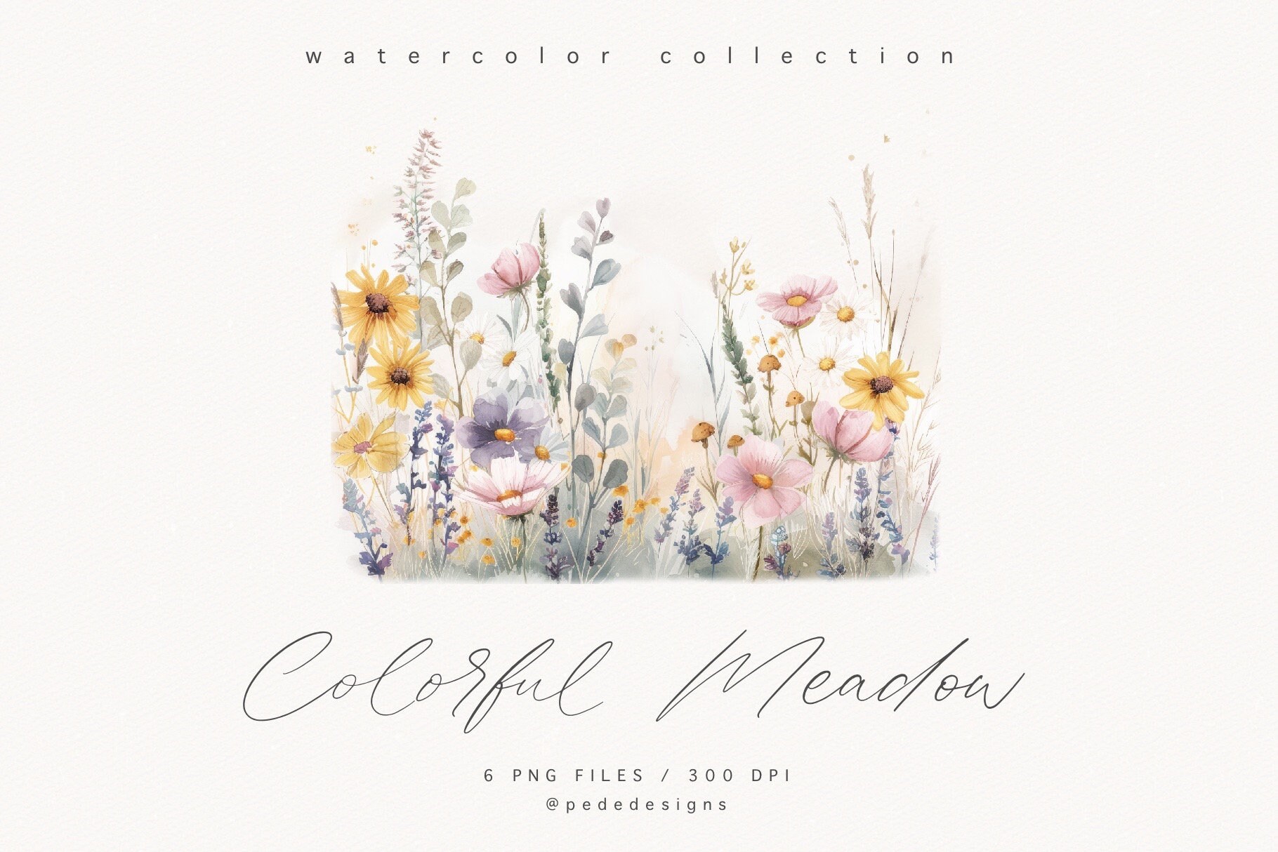 Watercolor Wildflower Clipart: Meadow Floral Frame (PNG Digital ...