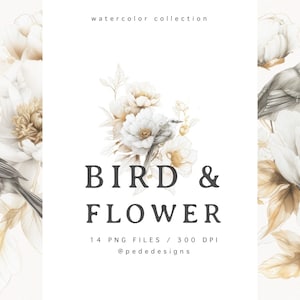 Vogel & Blume, vorgefertigter Blumenstrauß, Pfingstrose, Vorgefertigtes Clipart, florale Elemente, vorgefertigte Elemente, weiß und gold, Download
