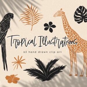 May include: A set of 63 hand-drawn tropical illustrations in black, white, and brown. The illustrations include a parrot, a giraffe, palm leaves, flowers, and other tropical plants.