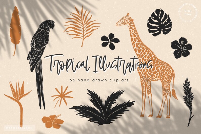 May include: A set of 63 hand-drawn tropical illustrations in black, white, and brown. The illustrations include a parrot, a giraffe, palm leaves, flowers, and other tropical plants.