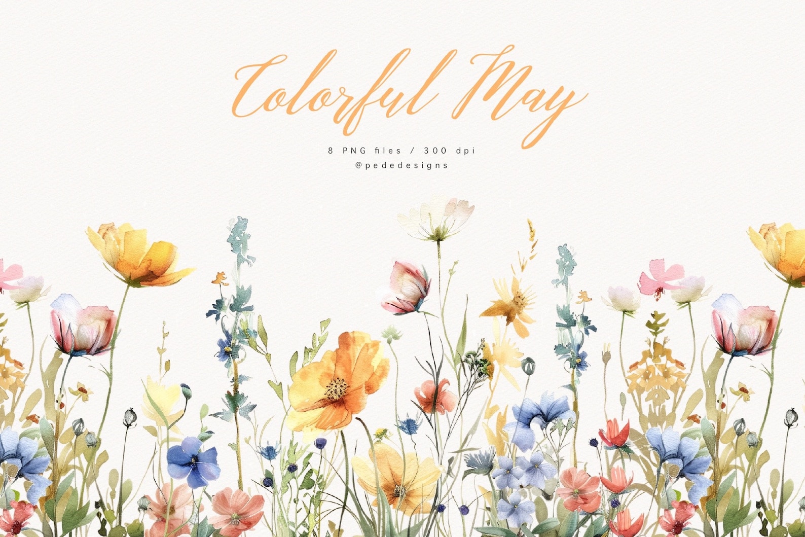 Colorful May, Spring Flowers, Watercolor Wild Floral Clipart ...