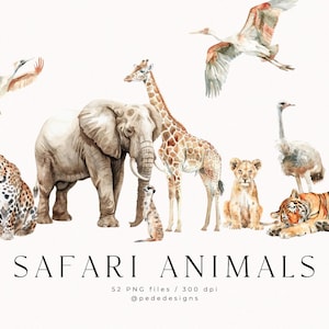 Animaux de safari, clipart aquarelle, bébés animaux png, savane, jungle, tropical, autocollants pour agenda, lion, tigre, girafe, zèbre, téléchargement