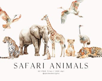 May include: Watercolor illustration of safari animals including a giraffe, elephant, lion, tiger, cheetah, ostrich, and birds. The words "SAFARI ANIMALS" are written in a serif font below the animals.