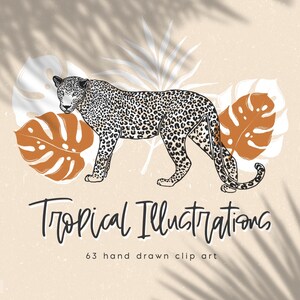May include: A black and white leopard illustration with a brown tropical leaf behind it. The text "Tropical Illustrations" and "63 hand drawn clip art" is below the leopard.