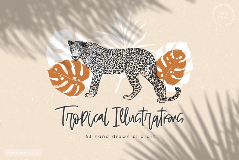May include: A black and white leopard illustration with a brown tropical leaf behind it. The text "Tropical Illustrations" and "63 hand drawn clip art" is below the leopard.