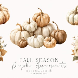 Könnte beinhalten: Aquarell-Illustration verschiedener Kürbisse in Weiß-, Braun- und Beigetönen. Einige Kürbisse sind gruppiert, andere einzeln, mit floralen Akzenten. Der Text lautet "Fall Season Pumpkin Arrangements".