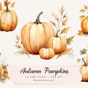 Op de afbeelding: Een set van 10 aquarel illustraties van pompoenen in verschillende maten en arrangementen. De pompoenen zijn oranje van kleur met bruine stelen en zijn omringd door bladeren en takken. De tekst "Autumn Pumpkins 10 PNG Files / 300 DPI @pededesigns" staat onderaan de afbeelding.