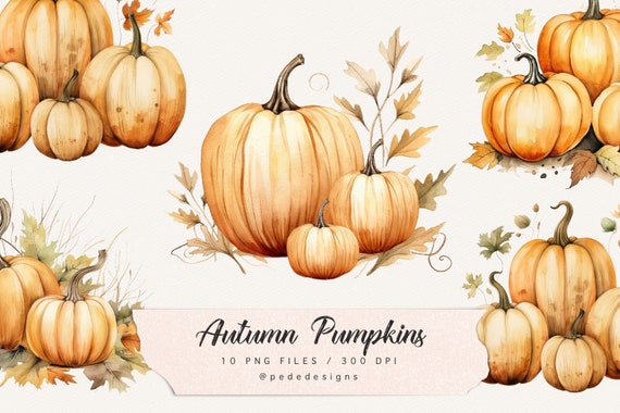 Autumn pumpkins, autumn clip art, fall leaves, pumpkin graphics, watercolor fall, autumn elements, planner stickers, thanksgiving, download