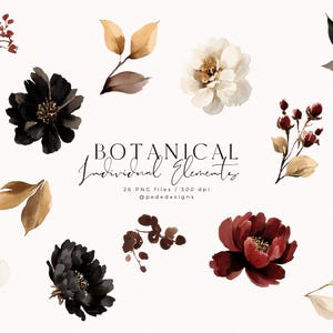 May include: Watercolor botanical elements in shades of black, burgundy, and cream. The image features individual floral and leaf illustrations, with the text "BOTANICAL Individual Elements" and "26 PNG files / 300 dpi @pededesigns".