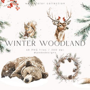 Winter Woodland, aquarel winter clipart, winterdieren, bosdieren, winter png-afbeeldingen, dennenbomen, winterbos, download