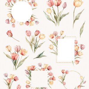 May include: A set of 25 watercolor illustrations of pink, peach, and yellow tulips with green leaves. The illustrations include various arrangements of tulips, including bouquets, single stems, and wreaths. The illustrations are perfect for creating digital or printed designs.