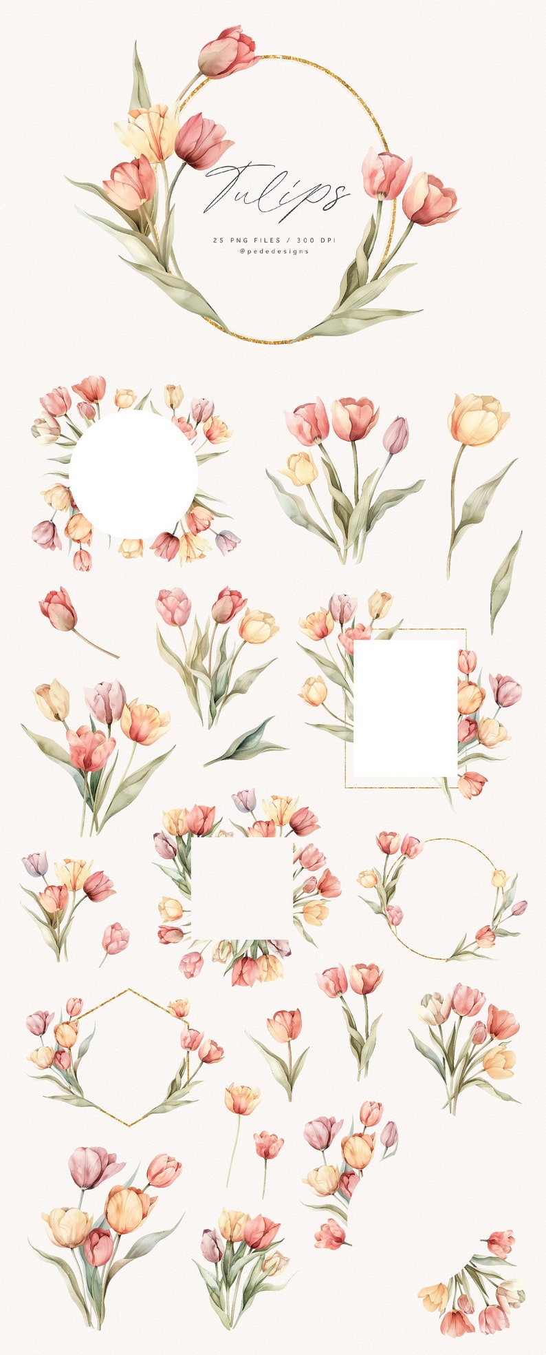 May include: A set of 25 watercolor illustrations of pink, peach, and yellow tulips with green leaves. The illustrations include various arrangements of tulips, including bouquets, single stems, and wreaths. The illustrations are perfect for creating digital or printed designs.