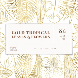 Gold Tropical Leaves Clip Art, botánico, monstera, lámina de oro, follaje dibujado a mano, imágenes prediseñadas de hojas de palmera, hojas de la selva, descargar