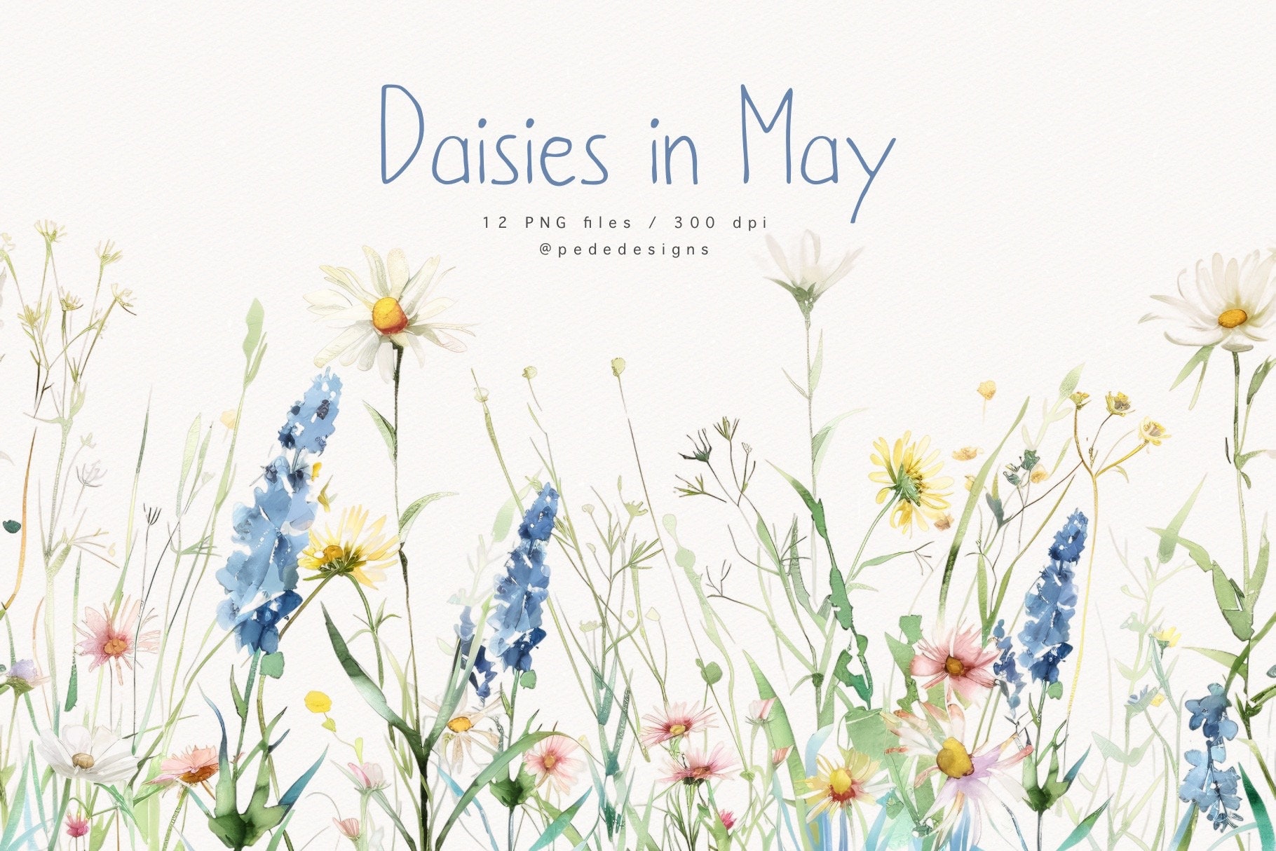 Daisies in May, watercolor wild flowers clipart, watercolor meadow, premade border clipart, daisy flowers, white flowers, download