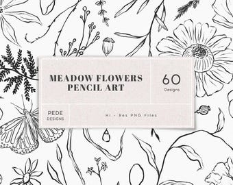 Meadow flowers illustrations, wild flowers clip art, hand drawn flowers clipart, wedding, logo elements, hand drawn, botanical, download