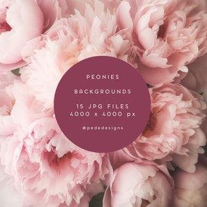 Arrière-plans de pivoine, toile de fond de pivoines, pivoines roses, fond d'écran de pivoine, fond doux, papier d'invitations de mariage, élégant, photo, téléchargement