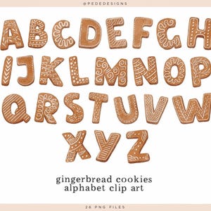 Puede incluir: Una colección de veintiséis letras de galleta de jengibre de la A a la Z, cada una decorada con patrones únicos de glaseado blanco que incluyen remolinos, puntos y líneas. Las galletas son de color marrón claro con una superficie texturizada, dispuestas en cuatro filas.