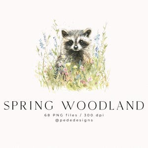 May include: A watercolor illustration of a raccoon sitting in a field of wildflowers. The raccoon is looking directly at the viewer with a curious expression. The flowers are a variety of colors, including pink, purple, and blue.