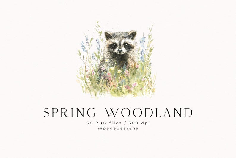May include: A watercolor illustration of a raccoon sitting in a field of wildflowers. The raccoon is looking directly at the viewer with a curious expression. The flowers are a variety of colors, including pink, purple, and blue.