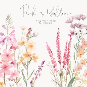 Rosa e amarelo, clipart de prado em aquarela, floral selvagem em aquarela, arranjo floral, borda floral rosa sem costura, flores amarelas, download