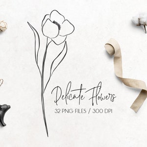 Zarte Blumen, florale Elemente, einzelne Elemente, florale Cliparts, Logoelemente, handgezeichnete Blumen, Download
