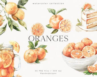 Clipart oranges, clipart nourriture aquarelle, clipart fruits, légumes, jus de fruits, gâteau, cocktail, clipart dessert, graphiques de support aquarelle, téléchargement