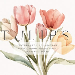 Tulipes aquarelles, clipart fleurs aquarelle, tulipes printanières png, cadre floral premade, fleur de tulipe, clipart mariage, printemps png, téléchargement