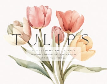 Watercolor tulips, watercolor flowers clipart, spring tulips png, premade floral frame, tulip flower, wedding clipart, spring png, download