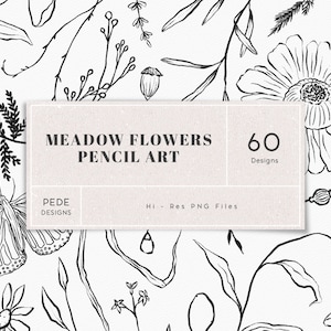 Wiesenblumen Illustrationen, wilde Blumen Clip Art, handgezeichnete Blumen Clipart, Hochzeit, Logo Elemente, handgezeichnet, botanisch, download