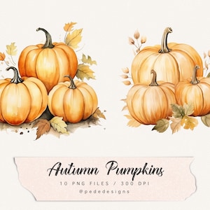 Op de afbeelding: Twee aquarel illustraties van pompoenen met herfstbladeren. De eerste illustratie heeft drie pompoenen, de grootste is achteraan en de twee kleinere vooraan. De tweede illustratie heeft drie pompoenen, de grootste is achteraan en de twee kleinere vooraan. De tekst "Autumn Pumpkins 10 PNG Files / 300 DPI @pededesigns" staat onderaan de afbeelding.