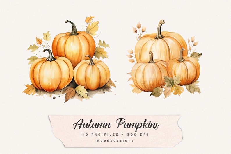 Op de afbeelding: Twee aquarel illustraties van pompoenen met herfstbladeren. De eerste illustratie heeft drie pompoenen, de grootste is achteraan en de twee kleinere vooraan. De tweede illustratie heeft drie pompoenen, de grootste is achteraan en de twee kleinere vooraan. De tekst "Autumn Pumpkins 10 PNG Files / 300 DPI @pededesigns" staat onderaan de afbeelding.