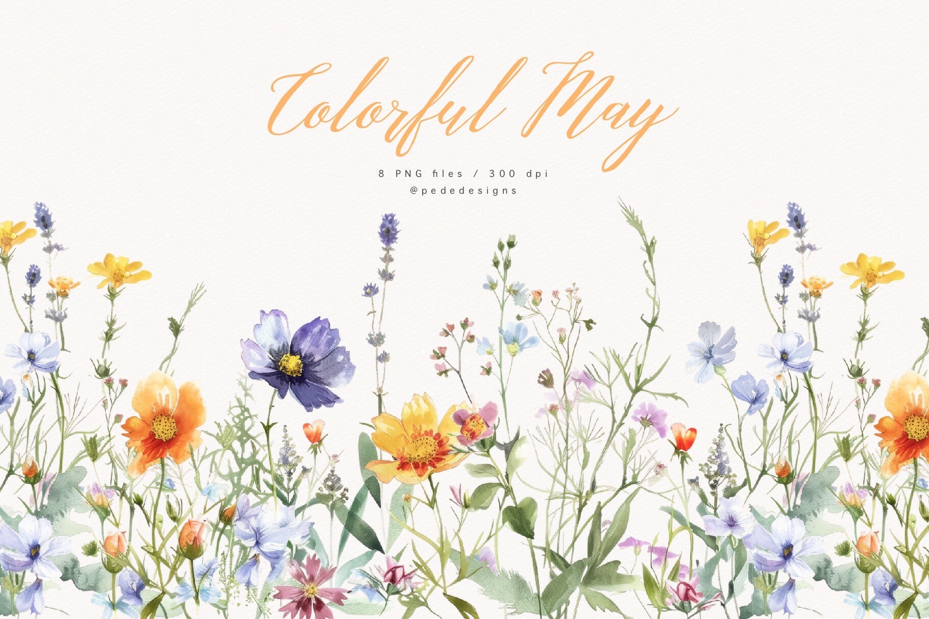 カラフルな5月、春の花、水彩画の野生の花のクリップアート、水彩画の
