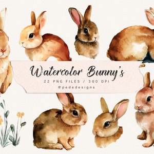 Watercolor bunny clip art, baby bunnies png, easter clipart, rabbit png, nature clip art, spring illustration, cute baby bunny, download
