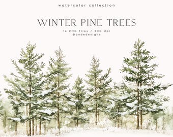 Op de afbeelding: Een digitale collectie van aquarel winterdennen met groen gebladerte en witte sneeuwaccenten. De tekst luidt watercolor collection, WINTER PINE TREES, 14 PNG files / 300 dpi en @pededesigns op een effen witte achtergrond.