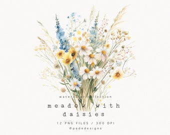 Clipart aquarel madeliefje: lijst met weidebloemen, rand (digitale download)