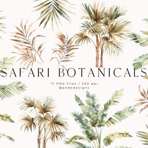 Safari Botanicals, Aquarell Clipart, exotische Cliparts, tropische Blätter, Dschungelblätter, Sommer png, Planer Aufkleber, Bananenpalme, Download