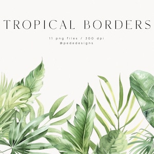 Tropische Bordüren, Aquarell Clipart, exotische Cliparts, tropische Elemente, Hochzeit Clipart, Monstera, Palmenblätter, vorgefertigte Borte, Download