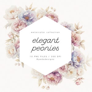 Aquarell elegante Pfingstrosen Clipart, Blumen Clipart, weiße und lila Pfingstrose, Planer Aufkleber, Hochzeit, Blumenstrauß png, Download