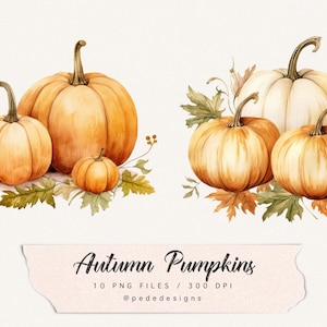 Op de afbeelding: Twee sets aquarel pompoenen met herfstbladeren. De eerste set heeft drie oranje pompoenen, de tweede set heeft &eacute;&eacute;n witte pompoen, &eacute;&eacute;n oranje pompoen en &eacute;&eacute;n bruine pompoen. De tekst "Autumn Pumpkins 10 PNG Files / 300 DPI @pededesigns" staat onderaan de afbeelding.