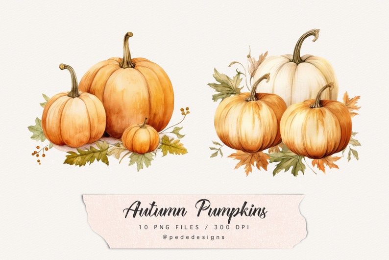 Op de afbeelding: Twee sets aquarel pompoenen met herfstbladeren. De eerste set heeft drie oranje pompoenen, de tweede set heeft &eacute;&eacute;n witte pompoen, &eacute;&eacute;n oranje pompoen en &eacute;&eacute;n bruine pompoen. De tekst "Autumn Pumpkins 10 PNG Files / 300 DPI @pededesigns" staat onderaan de afbeelding.