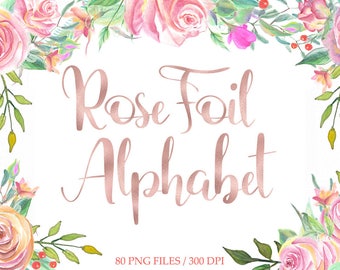 Rose goud folie alfabet illustraties, digitaal roos alfabet, roségoud folie hand belettering, mooie letters, cijfers, download