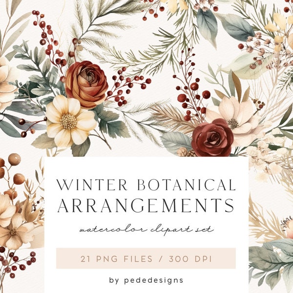 Winter Botanical Arrangements, watercolor winter clipart, winter floral png graphics, christmas floral, stickers, cone, cotton,, download