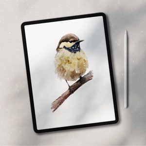 May include: A watercolor painting of a small brown and yellow bird with black markings perched on a branch. The bird is facing to the right and has a small, pointed beak.