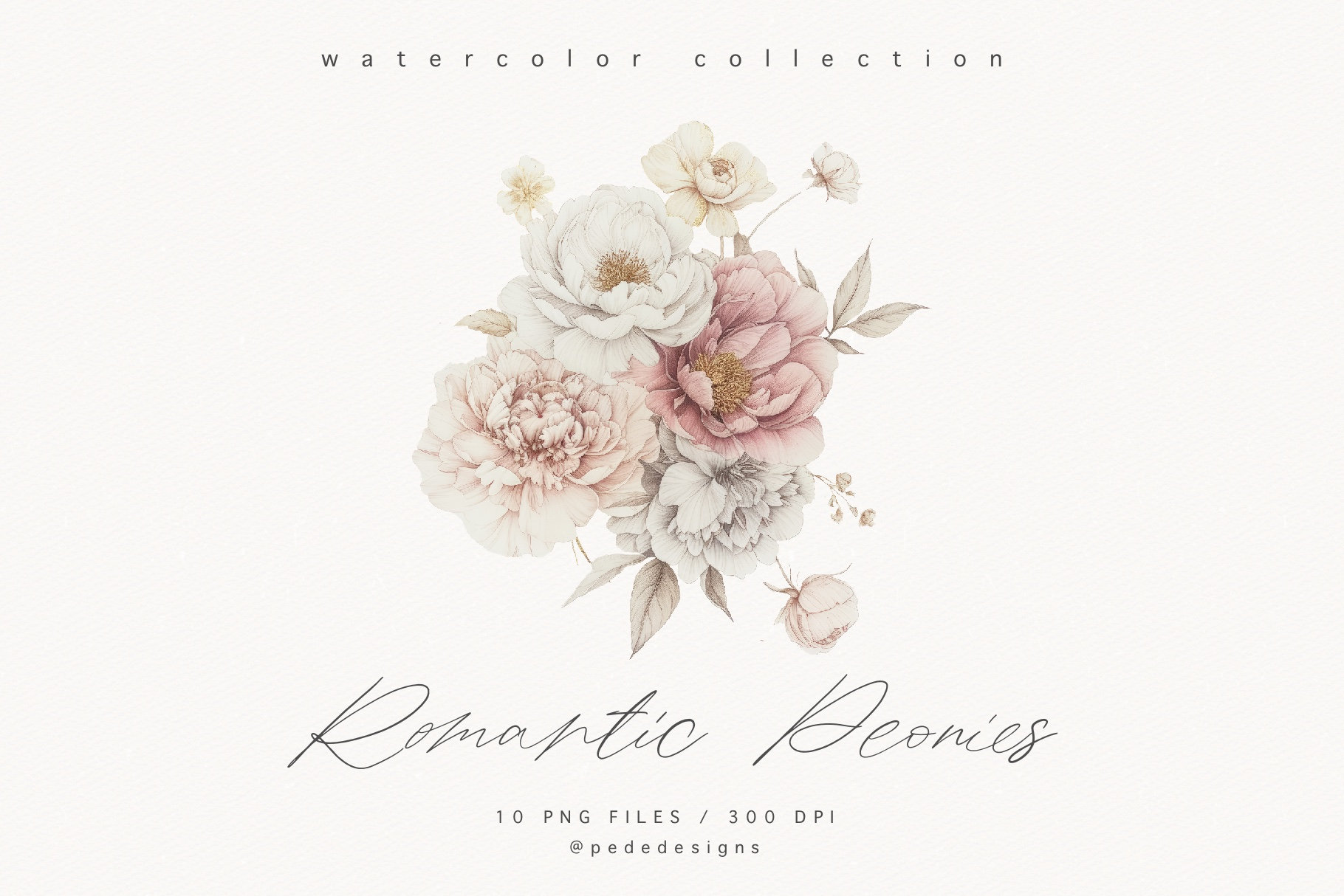 Watercolor Romantic Peonies Clipart, Border Clipart, White & Pink Peony ...