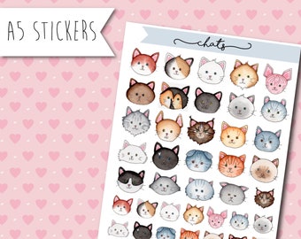 Stickers Cats - sticker board cat breeds