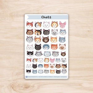 Stickers Chats - planche d'autocollants races de chats