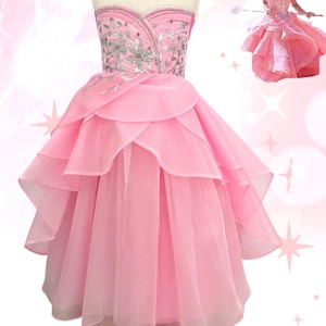 Glinda The Good With Costume, Glinda Bubble Dress Girl, Pink Gress Girl, Handmade Glinda Costume, Glinda The Good Witch Wizard Of The Oz