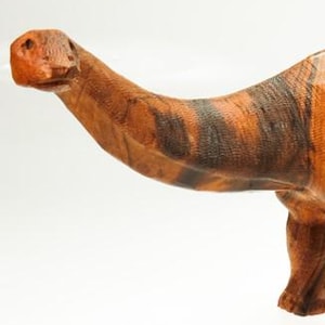 Desert Ironwood Brontosaurus dinosauriesnideri