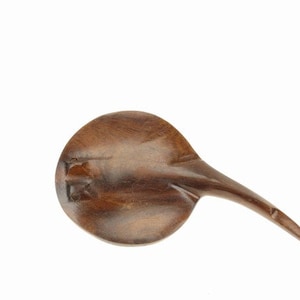 Wüste Ironwood Sting Ray 3-D 3&quot; Magnet Schnitzerei
